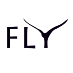 Компания Fly