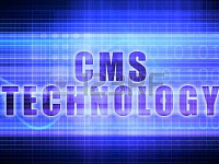 Секс, ложь и поставщики CMS