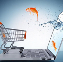 Продвижение интернет-магазина